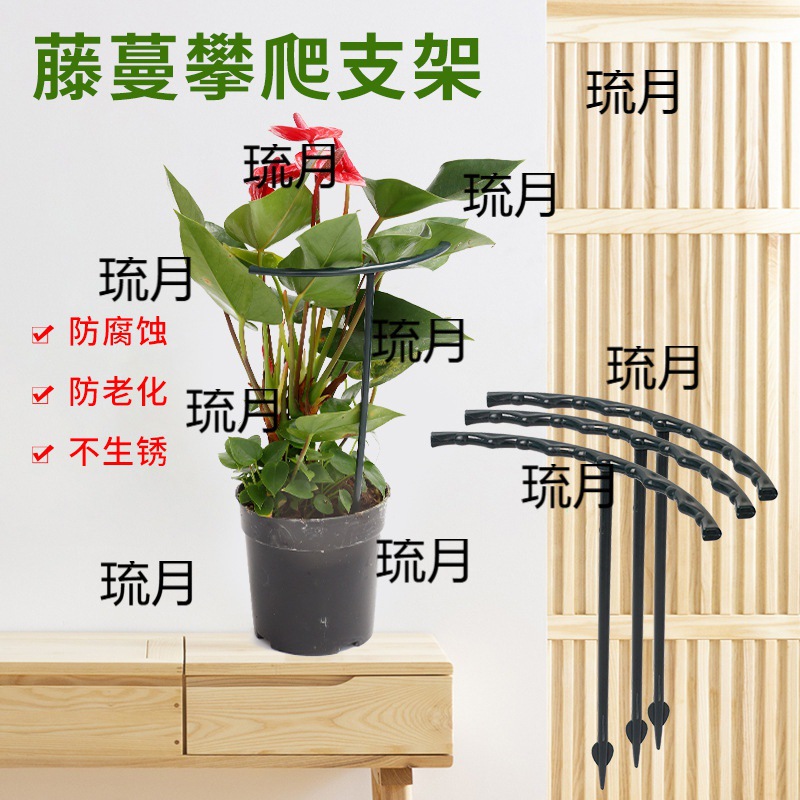 蟹爪兰支架固定撑杆花架植物花防倒伏架支撑杆盆栽绣球花卉盆架子
