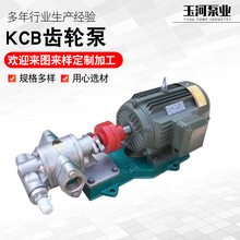 厂家供应 KCB-200型不锈钢齿轮泵 小型增压泵 高粘度抽油泵批发