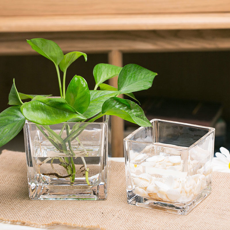 玻璃花盆批发简约加厚正方形水培玻璃器皿绿萝铜钱草水培玻璃花瓶