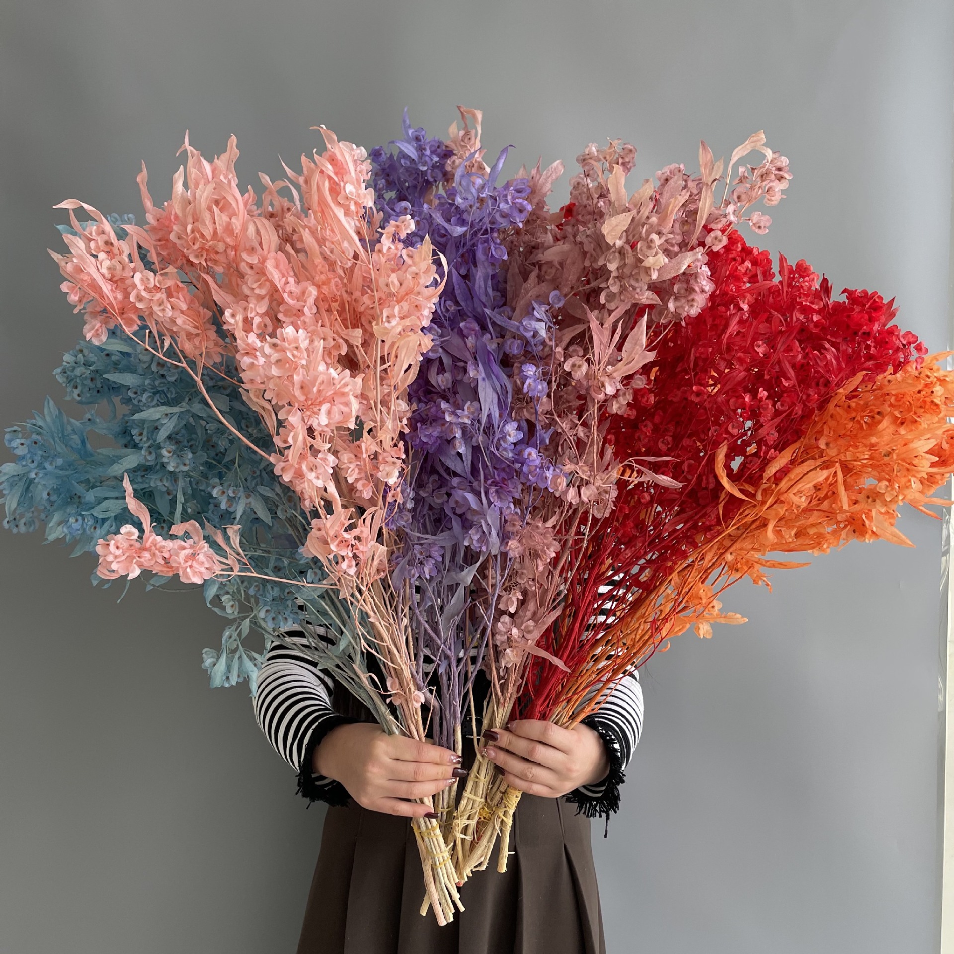 迎客豆永生花蝴蝶花银科豆居家装饰喜庆云南工厂直发元旦年宵花