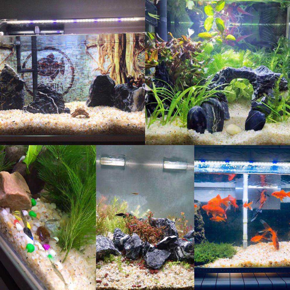 水晶砂鱼缸底砂造景装饰河沙鹅卵石白沙陶粒砂水族鱼缸沙子