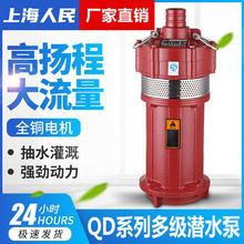 上海人民QY油浸小老鼠农用灌溉工程降水抽水泵多级泵高扬程潜水泵