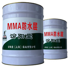 MMA防水层。与金属和不锈钢材料附着性好。MMA防水层