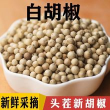 白胡椒粒海南精选白胡椒粒500g一级白胡椒家用250克白胡椒粉包邮