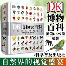 DK博物大百科儿童艺术启蒙艺术审美科普百科书中小学生课外阅读书