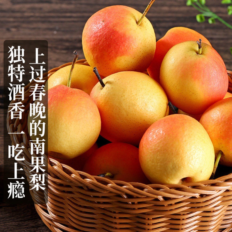 正宗辽宁鞍山南果梨5斤装东北特产香水梨子新鲜孕妇水果整箱包邮