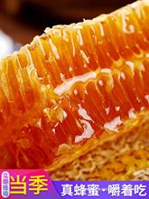 500g蜂巢蜜嚼着吃现切蜂窝农家蜜糖自产土蜂蜜天然纯正