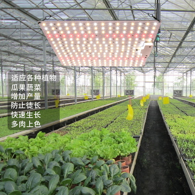 新款led全光谱量子板植物灯1200w大功率植物生长补光灯温室大棚灯