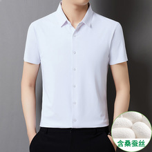 轻奢男士短袖衬衫纯色弹力时尚高品质休闲冰丝衬衣男装夏季新款