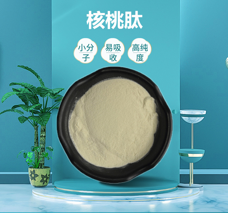 核桃肽山核桃蛋白肽粉 山核桃提取物食品级 核桃蛋白质粉欢迎咨询