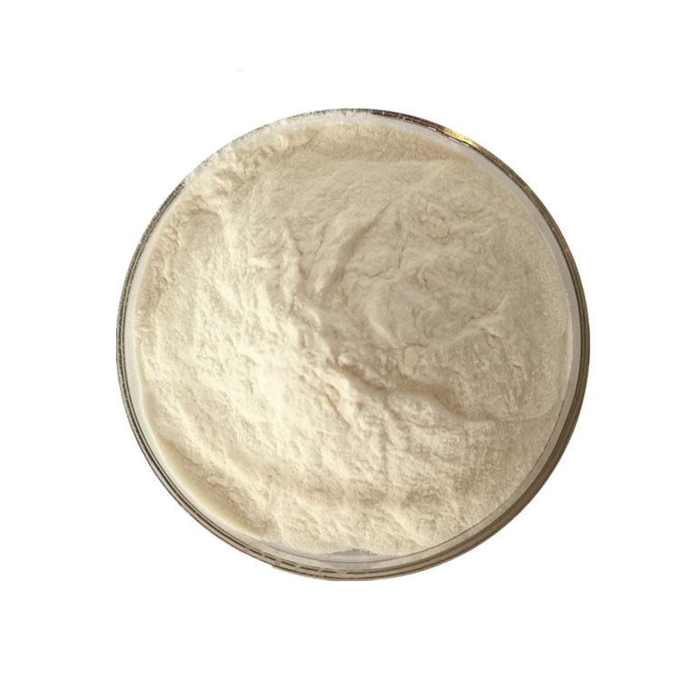 西柚果粉 98% 西柚粉 西柚果汁粉 西柚提取物 1公斤装