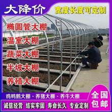 养殖大棚全套大棚骨架家用温室种植棚专业养鸡棚羊棚牛棚养猪大棚