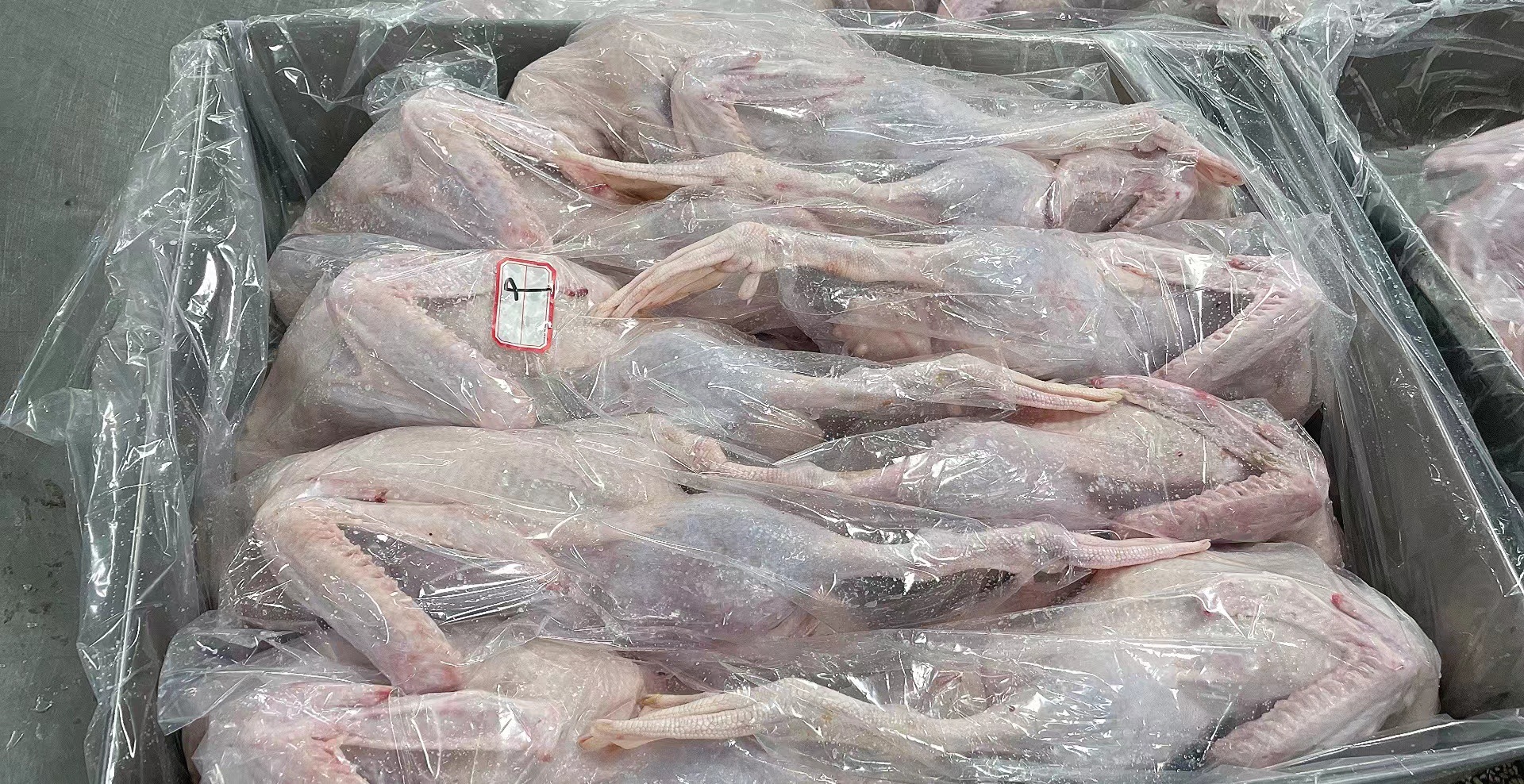 老鸭子整只鸭货生鲜食材老鸭肉新鲜冷冻食品白条土鸭番鸭酒席家用