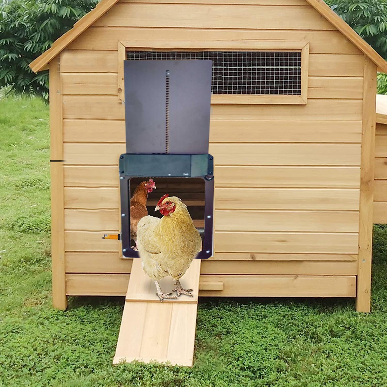 automatic chicken coop door光感自动鸡舍门鸡窝门 跨境宠物用品