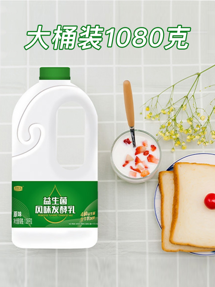 君乐宝益生菌酸奶原味风味发酵乳大桶装早餐酸牛奶瓶装整箱-阿里巴巴