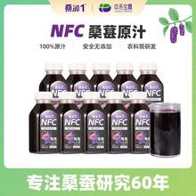 [新日期]农科院桑椹NFC果汁100%桑葚压榨饮品300ml饮料整箱