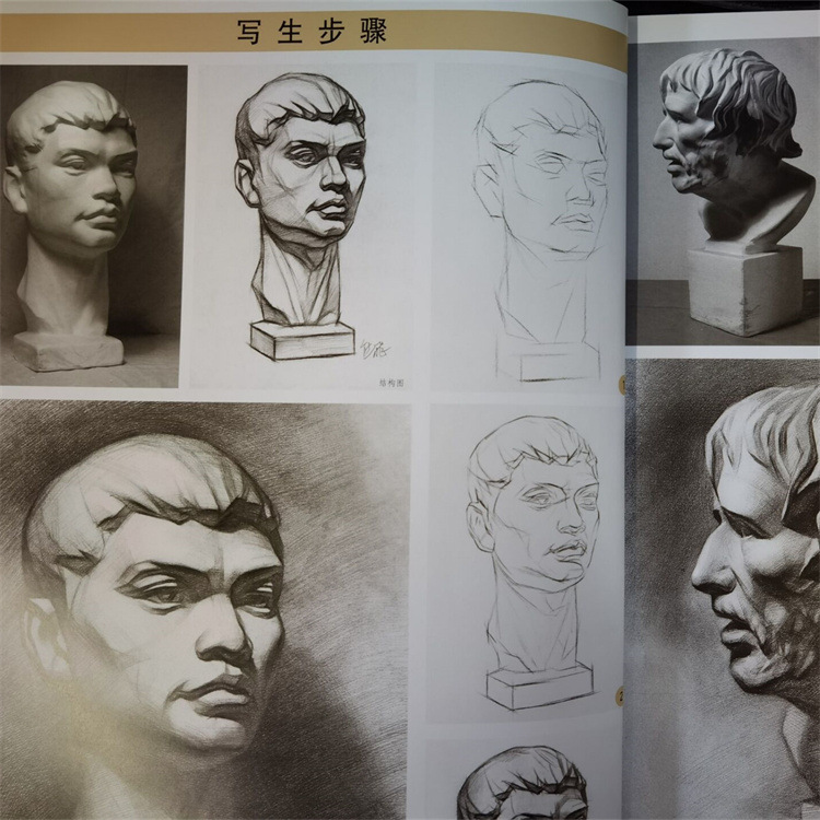 名师课堂石膏头像结构与明暗:熊飞说素描石膏像