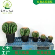 仿真仙人球仙人掌仙人柱花绿植盆栽组合造景植物装饰道具摆件批发