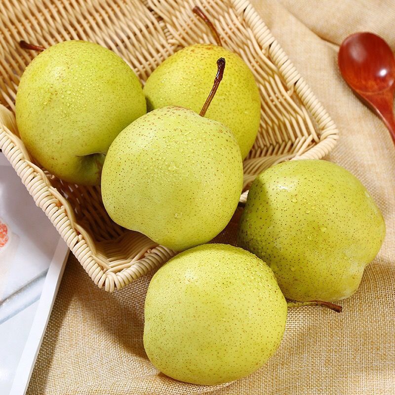 雪梨河北雪花梨新鲜冰糖批发10斤5斤3斤新鲜水果送礼网红办公室