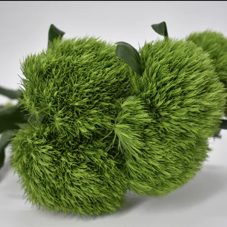 绿毛球鲜花批发云南鲜花直批婚庆布置花店摆摊用花社区团购货源
