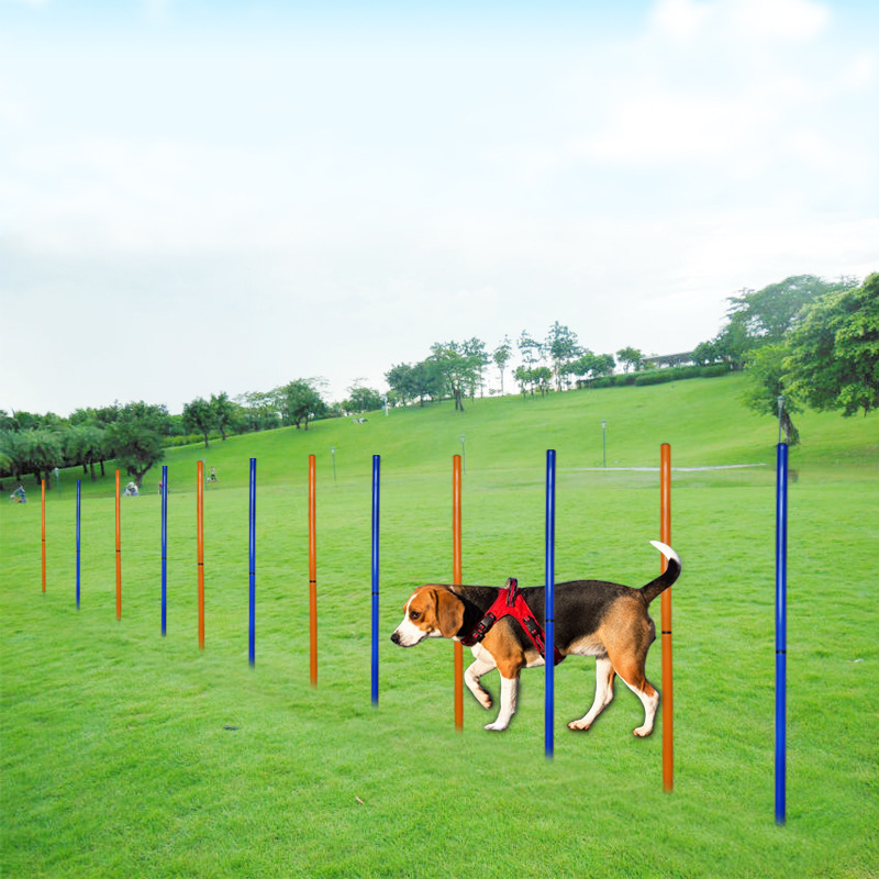 宠物训练器 敏捷障碍杆训练 狗狗敏捷度户外运动绕桩