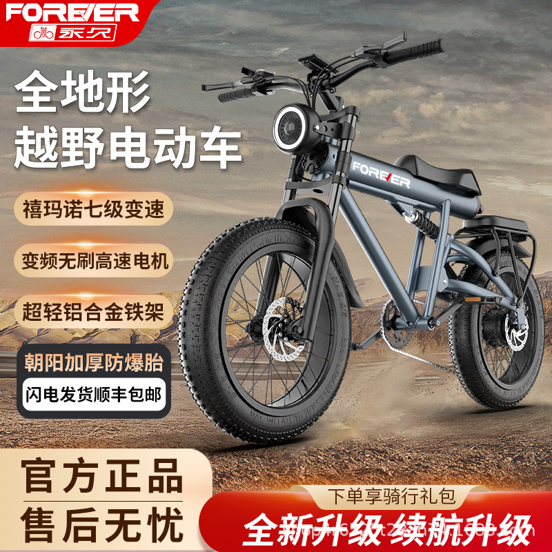 工厂直销复古越野电动自行车成人变速助力电瓶车锂电池两轮电动车