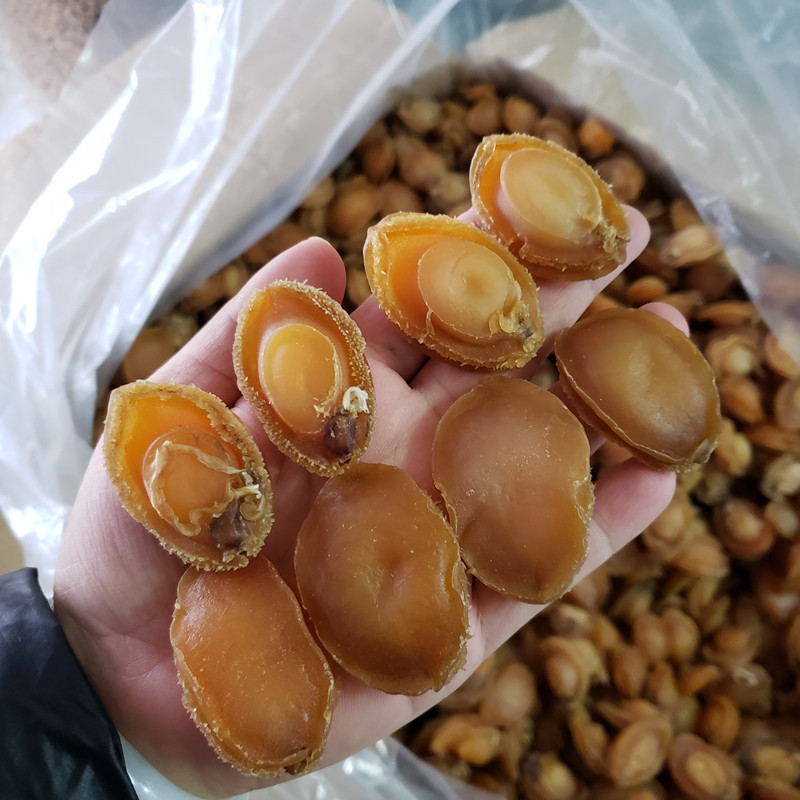 鲍鱼干货批发糖心鲍鱼北海海味 30头50头/斤鲍螺肉500g大连大鲍鱼