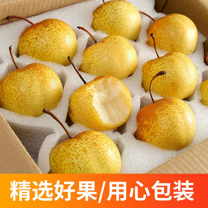 花盖梨东北鞍山特产花盖梨秋子梨可做大冻梨酸甜软梨5斤一件 批发