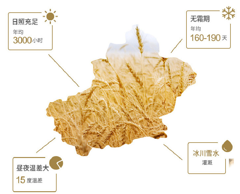 福临门面粉 新疆麦芯小麦粉 新疆面粉 麦芯粉 中筋面粉 十斤 5kg