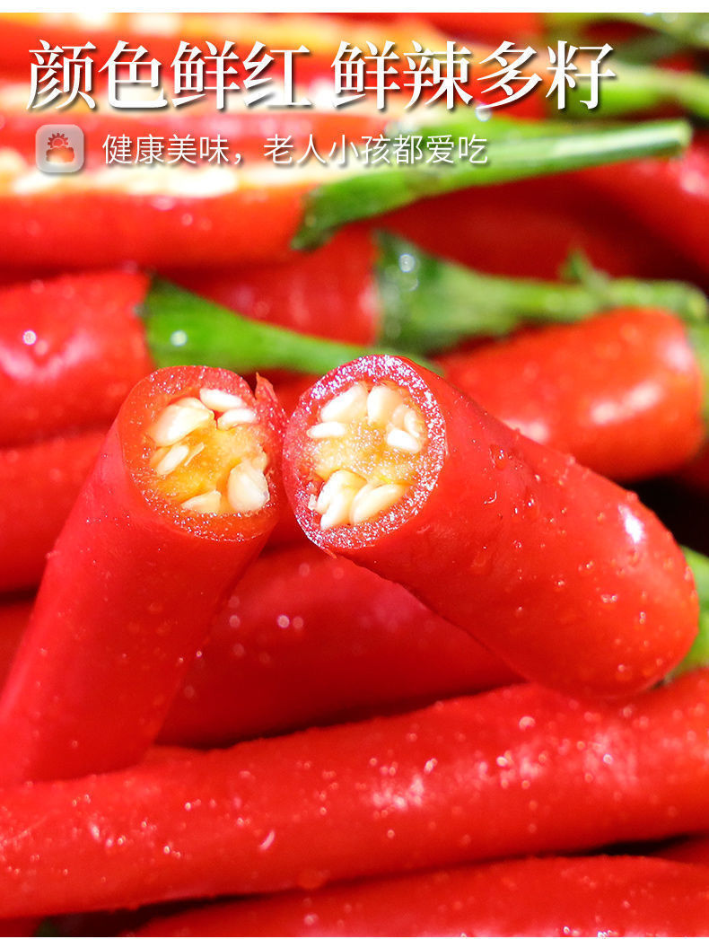 新鲜现摘小米椒5/10斤小米辣鲜椒特辣红辣椒朝天椒指天椒泡椒批发