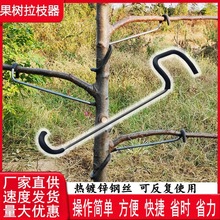 果树拉枝器压枝定型器树别枝器 定型弯枝器 开基角拉平拉下垂