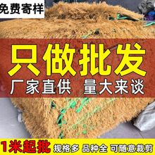 仿真茅草塑料毛草屋顶稻草农家乐户外凉亭民宿木地毯室外铺垫地面