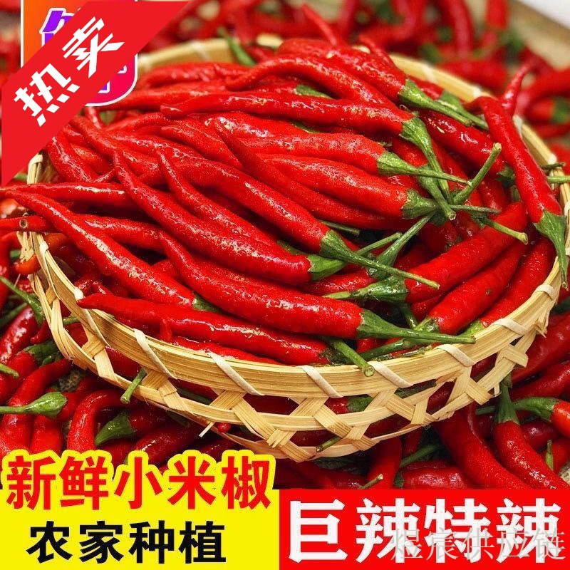 新鲜小米椒特辣小米辣鲜椒朝天椒红辣椒指天椒泡椒红辣椒产地直发