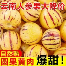 民勤人参果新鲜整箱包邮甘肃特大水果心人生果沙漠正品官方旗舰店