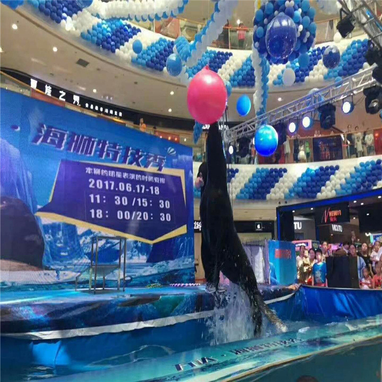 萌宠展活体羊驼租赁展览 出售土拨鼠活体羊驼活体 矮马 狐獴 旱獭