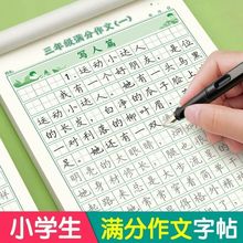 3-6年级满分作文练字帖小学生专用字帖三年级四五六年级同步作文