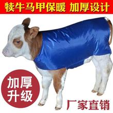 加厚犊牛保暖保温马甲防水小牛犊牛衣服防风防寒服加大外套