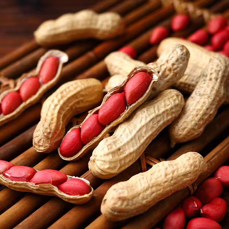 甄选 东北种植小珍珠生花生果带壳红皮花生水煮卤花生鲜花生新鲜