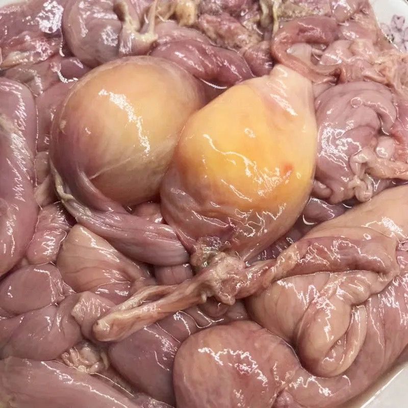 新鲜老母鸡蛋包肠鸡内脏鸡肠子鸡肪子鸡杂内脏活杀速冻冷冻发货批