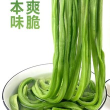 贡菜干特级正宗苔干脱水蔬菜火锅食材农家干货土特产贡菜商用批发