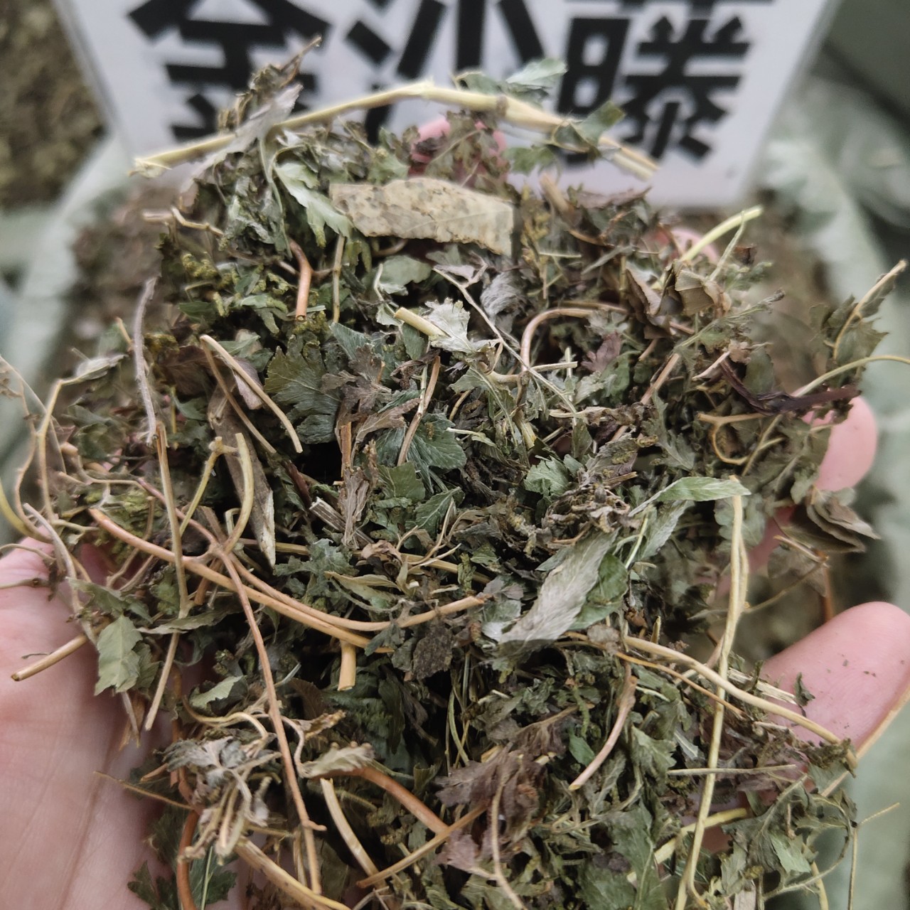 金沙藤中药材金砂藤 海金沙藤 海金砂藤 干货