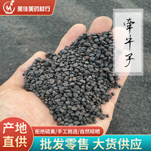 批发中药材牵牛子 黑丑  牵牛子1000克 量大从优