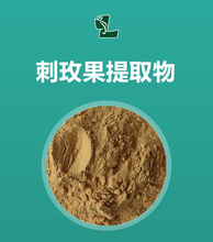 刺梅果提取物 20:1规格 刺玫果萃取粉 500g/袋 现货批发 刺莓果