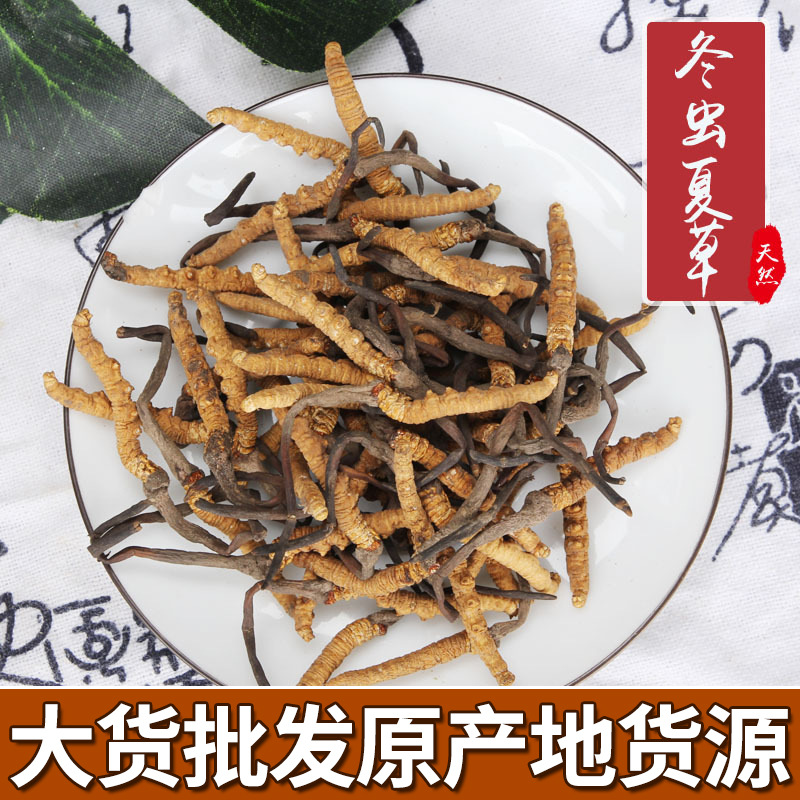新货批发精选那曲冬虫夏草精选6条/克足干虫草 满10克送礼盒