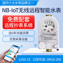 NB-IOT家用出租房水表 无线远传预付费智能抄表水表 DN15-DN25