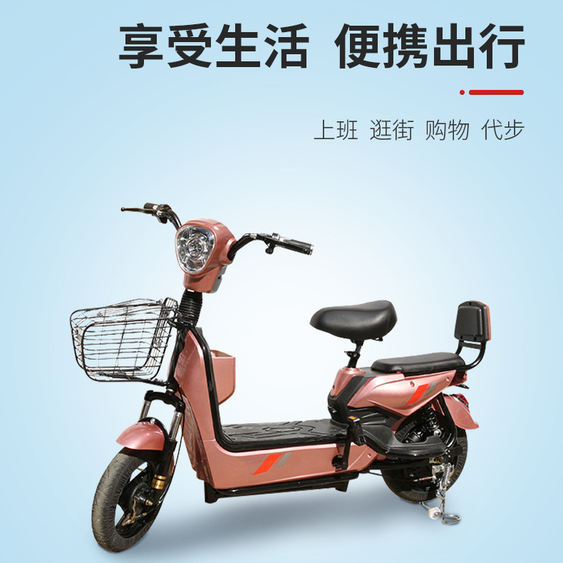 金鹰电动自行车两轮代步电瓶车锂电池续航电动车新国标电动车批发