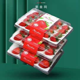 一次性草莓吸塑托盘15-20颗粒装水果透气塑料包装含草莓图案纸条
