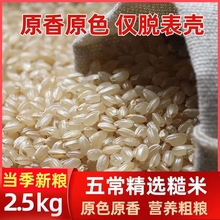 东北糙米5斤装 玄米发芽米新米杂粮五谷饭五常粳米煮粥黑龙江