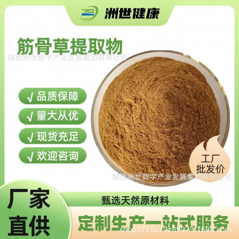 筋骨草提取物30:1 植物提取物 伸筋草粉120目1kg/袋 厂家现货批发