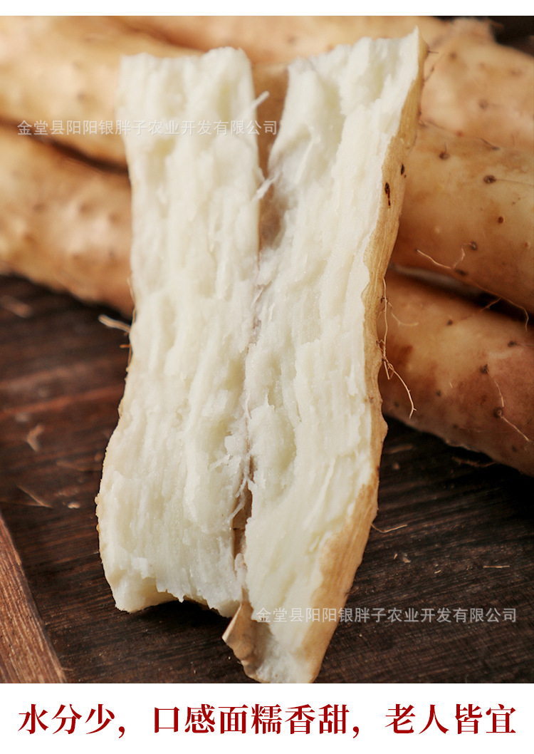 河北蠡县产地直发小白嘴白山药麻山药现发软糯香甜孕妇小孩蔬菜